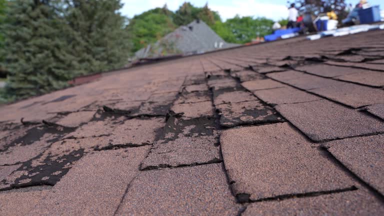 Best Commercial Roofing Services  in Sidney, MT
