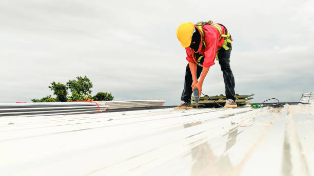 Best Roof Insulation Installation  in Sidney, MT