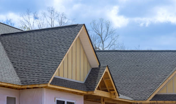 Best Roof Ventilation Installation  in Sidney, MT