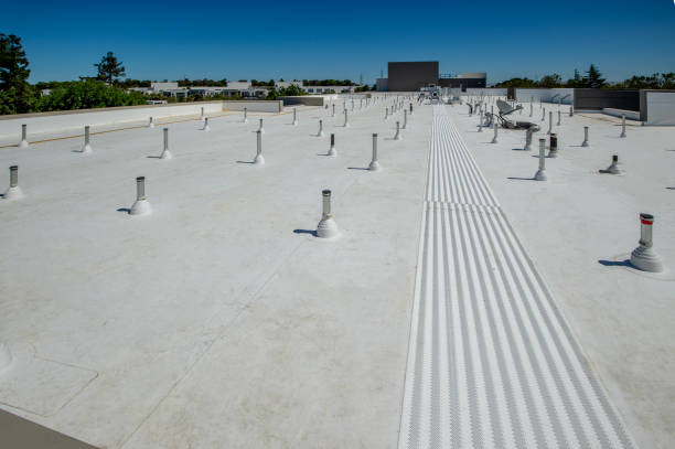 Best Cold Roofs  in Sidney, MT